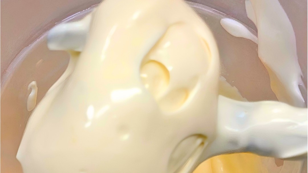 Maionese senza uova IN-VECE montata con il mixer a immersione, densa e tenuta sulla frusta